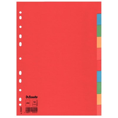 Nr. 100201, A4 hoch, blanko, 10tlg., Karton 160g/m², farbig Artikelbild 100201