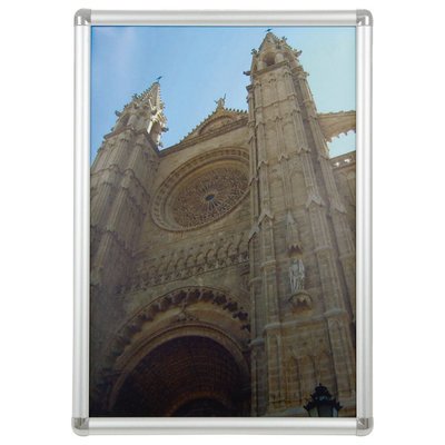 Artikelbild 1902212