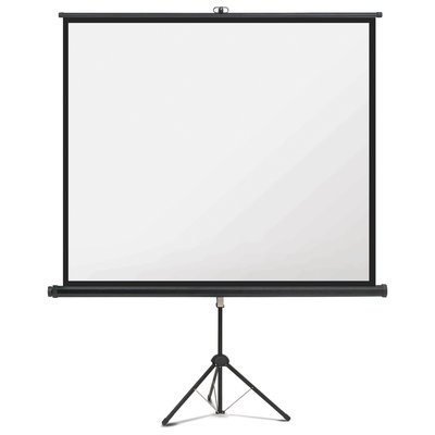 Artikelbild 2050116