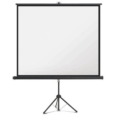 Artikelbild 2050118