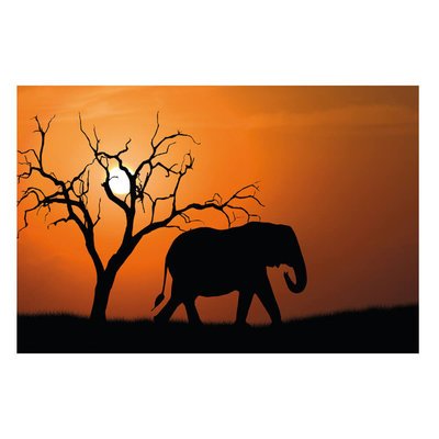 Artikelbild 78807