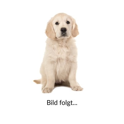 Artikelbild 960915