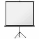 Stativ-Leinwand Magnetoplan 202501935 - Miniaturansicht