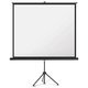 Stativ-Leinwand Magnetoplan 202501935 - Miniaturansicht