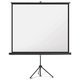 Stativ-Leinwand Magnetoplan 202501937 - Miniaturansicht
