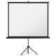 Stativ-Leinwand Magnetoplan 202501938 - Miniaturansicht
