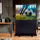 Bodenleinwand Magnetoplan Pull-Up - Miniaturansicht