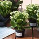 Folienetiketten Herma 4573 - Miniaturansicht