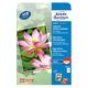 Zweckform Inkjet-Fotopapier 2482-20 - Produktbild