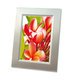 Zweckform Inkjet-Fotopapier 2739 - Miniaturansicht