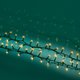 LED-Lichterkette LUMINEO Compact - Miniaturansicht