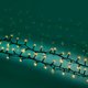 LED-Lichterkette LUMINEO Compact - Miniaturansicht