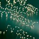 LED-Lichterkette LUMINEO 496606 - Miniaturansicht