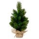 Weihnachtsbaum EVERLANDS Edmonton - Produktbild