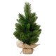 Weihnachtsbaum EVERLANDS Edmonton - Produktbild