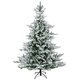 Weihnachtsbaum EVERLANDS Tanne - Produktbild