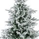 Weihnachtsbaum EVERLANDS Tanne - Miniaturansicht