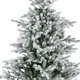 Weihnachtsbaum EVERLANDS Tanne - Miniaturansicht