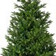Weihnachtsbaum EVERLANDS Tanne - Miniaturansicht