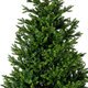 Weihnachtsbaum EVERLANDS Tanne - Miniaturansicht