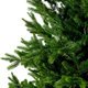 Weihnachtsbaum EVERLANDS Tanne - Miniaturansicht