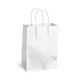 Papiertragetasche Pack'n Post - Miniaturansicht