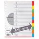 Kartonregister Pagna XXL - Produktbild