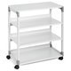 Multifunktionswagen Durable System - Miniaturansicht