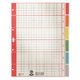 Kartonregister Leitz A4 - Miniaturansicht