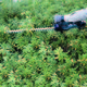 Heckenschere Makita DUH507Z - Miniaturansicht