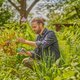 Gartenschere GARDENA EasyCut - Miniaturansicht