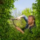 Heckenschere GARDENA NatureCut - Miniaturansicht