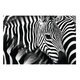 Wandbild Paperflow Zebra - Miniaturansicht
