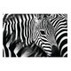Wandbild Paperflow Zebra - Miniaturansicht