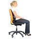 Rückenstütze Fellowes 8029901 - Miniaturansicht