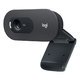 Webcam Logitech C505 - Miniaturansicht
