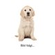 Hunde-Leckerlis Gut & - Produktbild