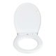 WC-Sitz